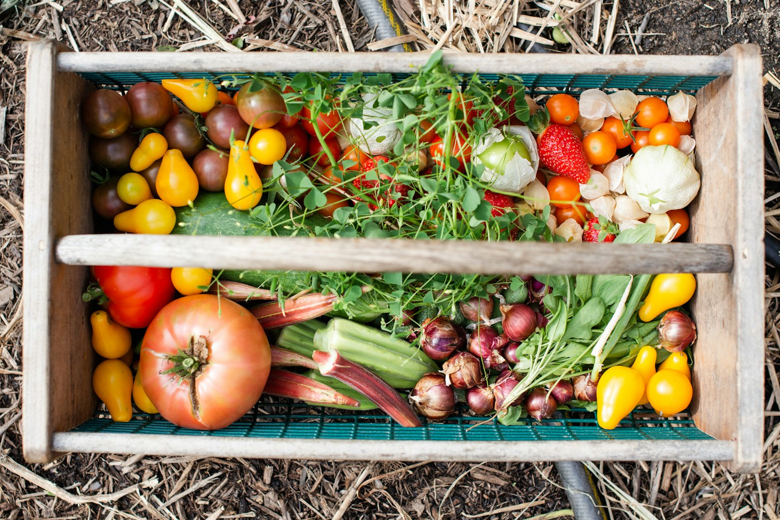 Légumes de contre-saison
